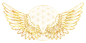 Terapie Reiki Timisoara